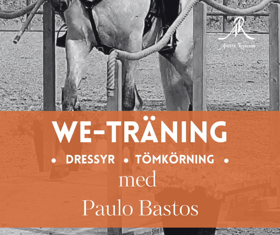WE träning_Paulo_2025